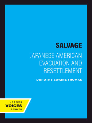 cover image of The Salvage